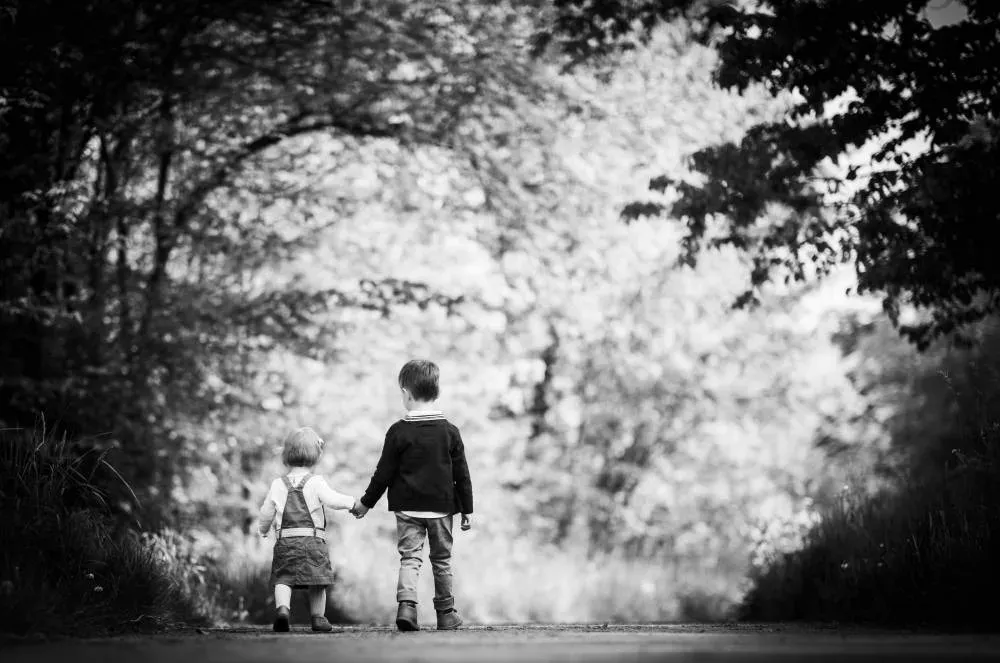 imgi_40_64ba8a6ba7a07_images_medium (1)