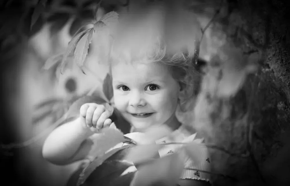 imgi_20_64187a666a7d2_images_medium (1)