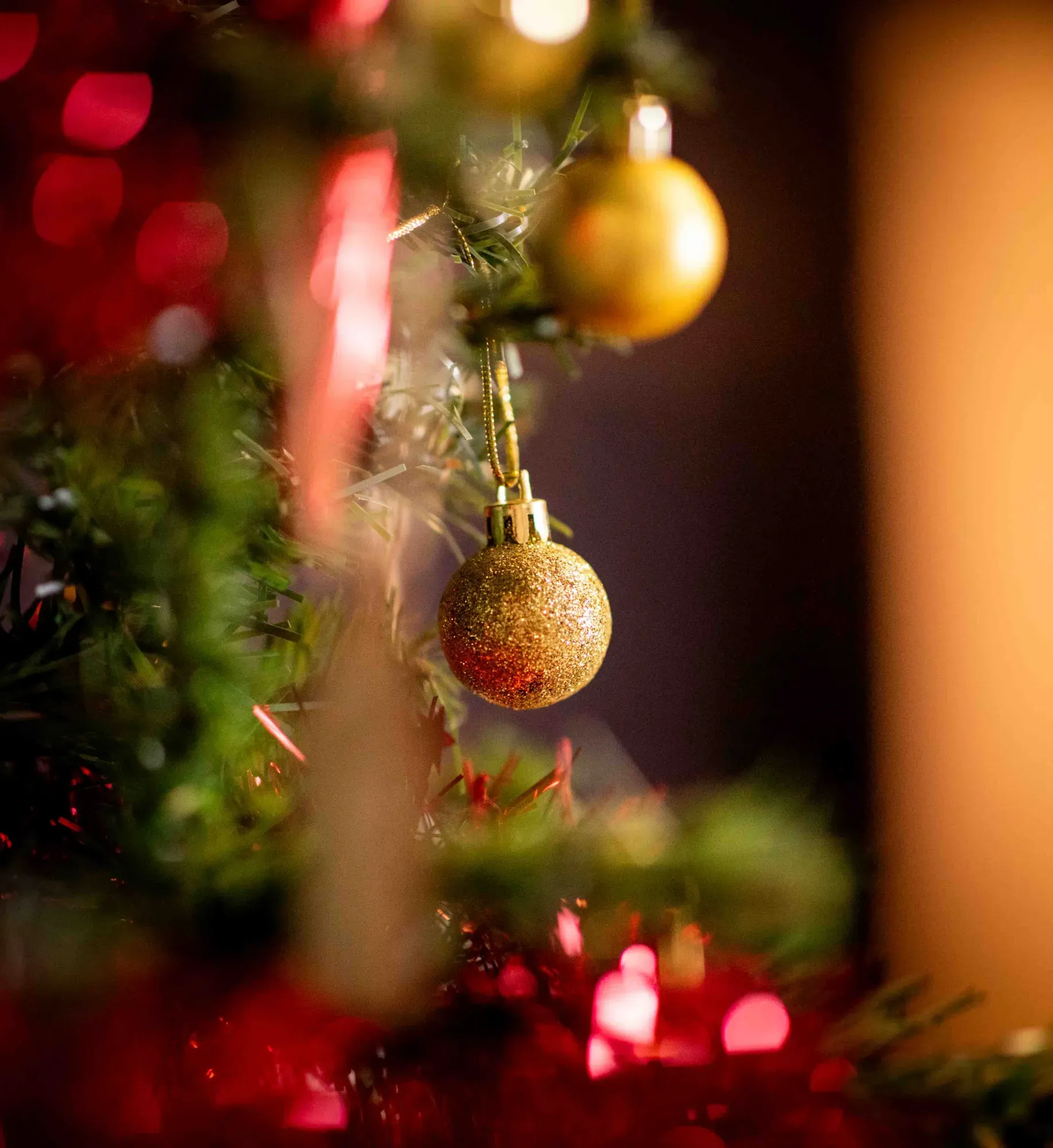 clair-pauline-photographe-Vosges-famille-mini-seance-noel-decors-noel-2026-saint-dié-des-vosges-gerardmer-anould-3